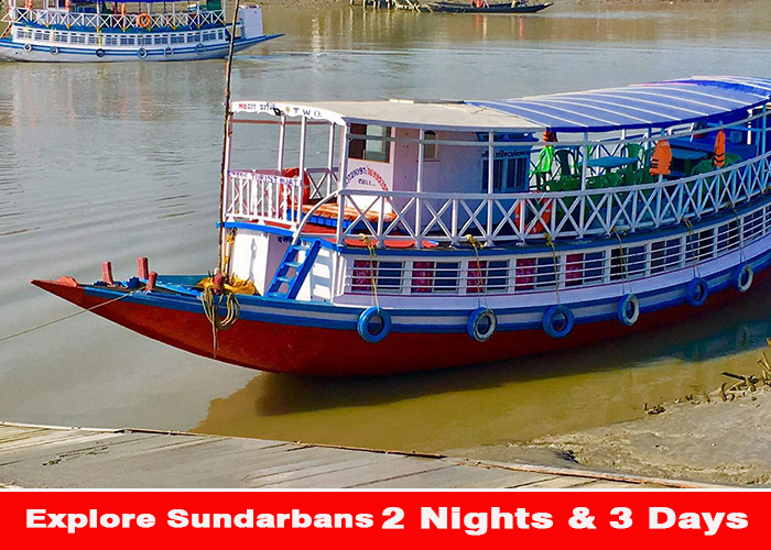 Sundarban wild tour & travels