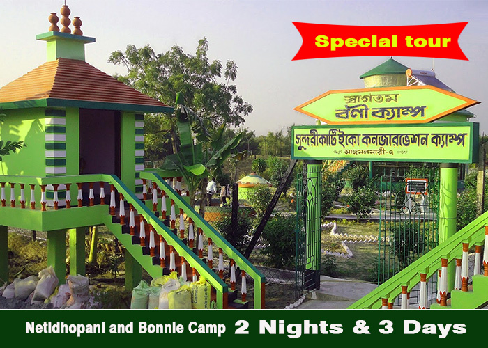 Sundarban wild tour & travels