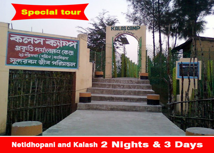 Sundarban wild tour & travels